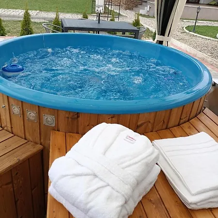 Pensiunea Arc Bucovina Guest house *