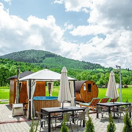 Pensiunea Arc Bucovina *