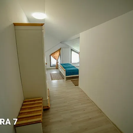 Pensiunea Arc Bucovina Guest house Vama (Suceava)