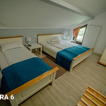 Pensiunea Arc Bucovina Guest house