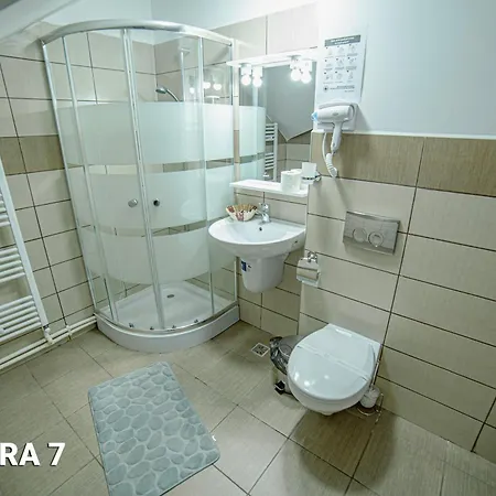 Guest house Pensiunea Arc Bucovina