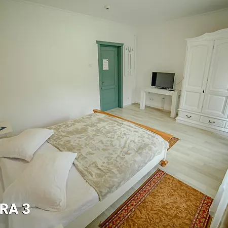 Guest house Pensiunea Arc Bucovina