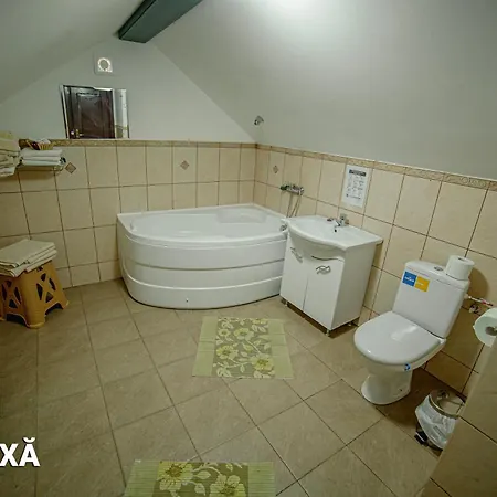 Guest house Pensiunea Arc Bucovina *