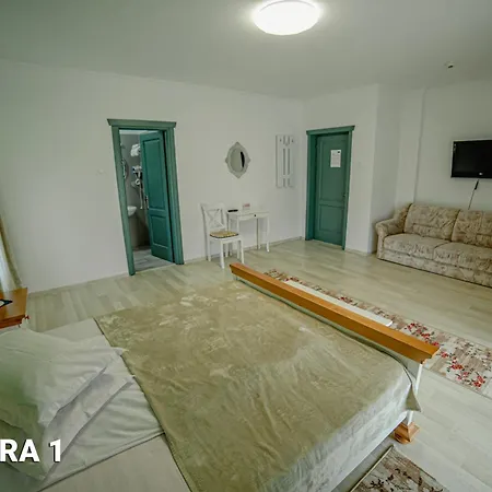 Pensiunea Arc Bucovina Guest house