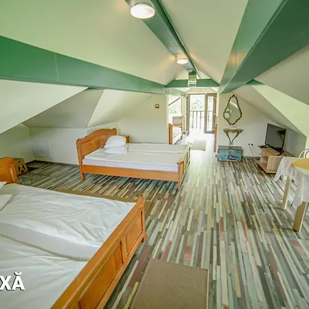 Pensiunea Arc Bucovina Guest house