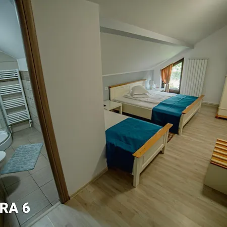 Guest house Pensiunea Arc Bucovina Vama (Suceava)