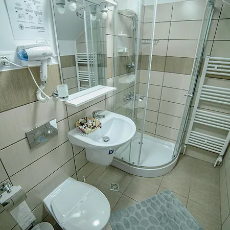 Guest house Pensiunea Arc Bucovina